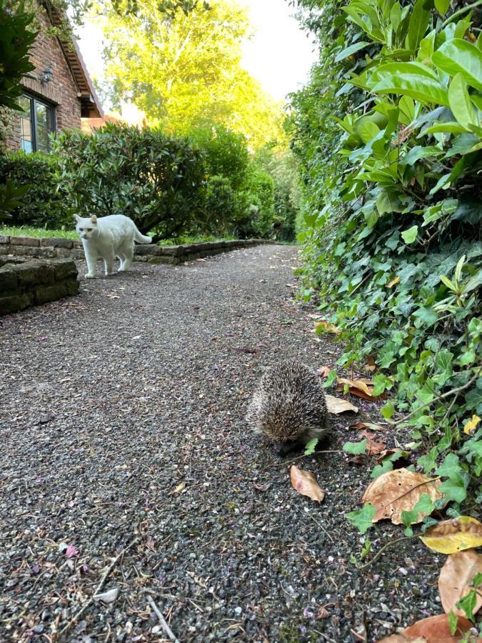 Les Cottages D'Orient Gite Boutique Mesnil Saint Pere Bagian luar foto